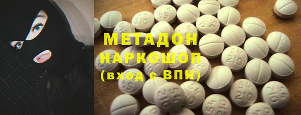 гашик Алексин