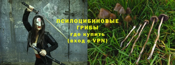 не бодяженный Алзамай