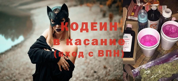 гашик Алексин