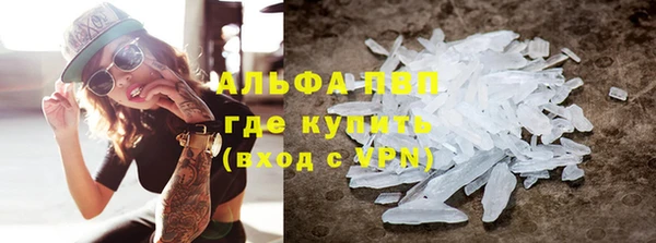 гашик Алексин