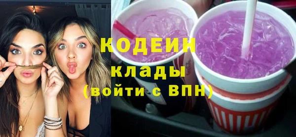 гашик Алексин