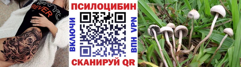 Галлюциногенные грибы ЛСД  купить наркотик  Казань 